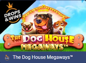 The Dog House Megaways — promo grafika slota